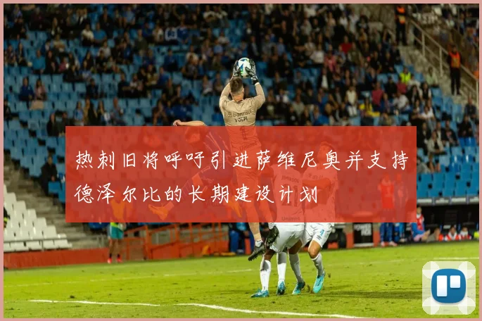 热刺旧将呼吁引进萨维尼奥并支持德泽尔比的长期建设计划